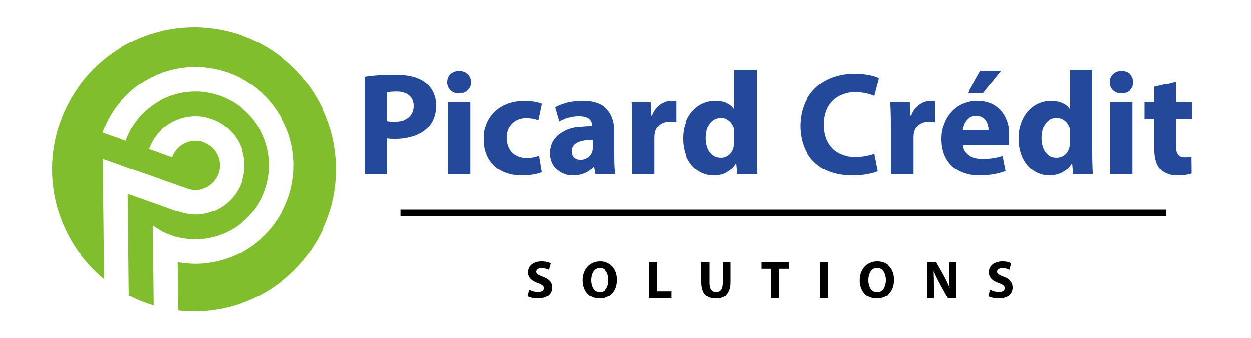 PICARD CREDIT SOLUTIONS